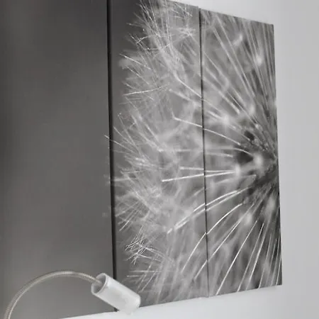 酒店 费伊尔勒酒店