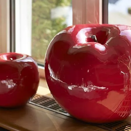 费伊尔勒酒店 酒店 森登